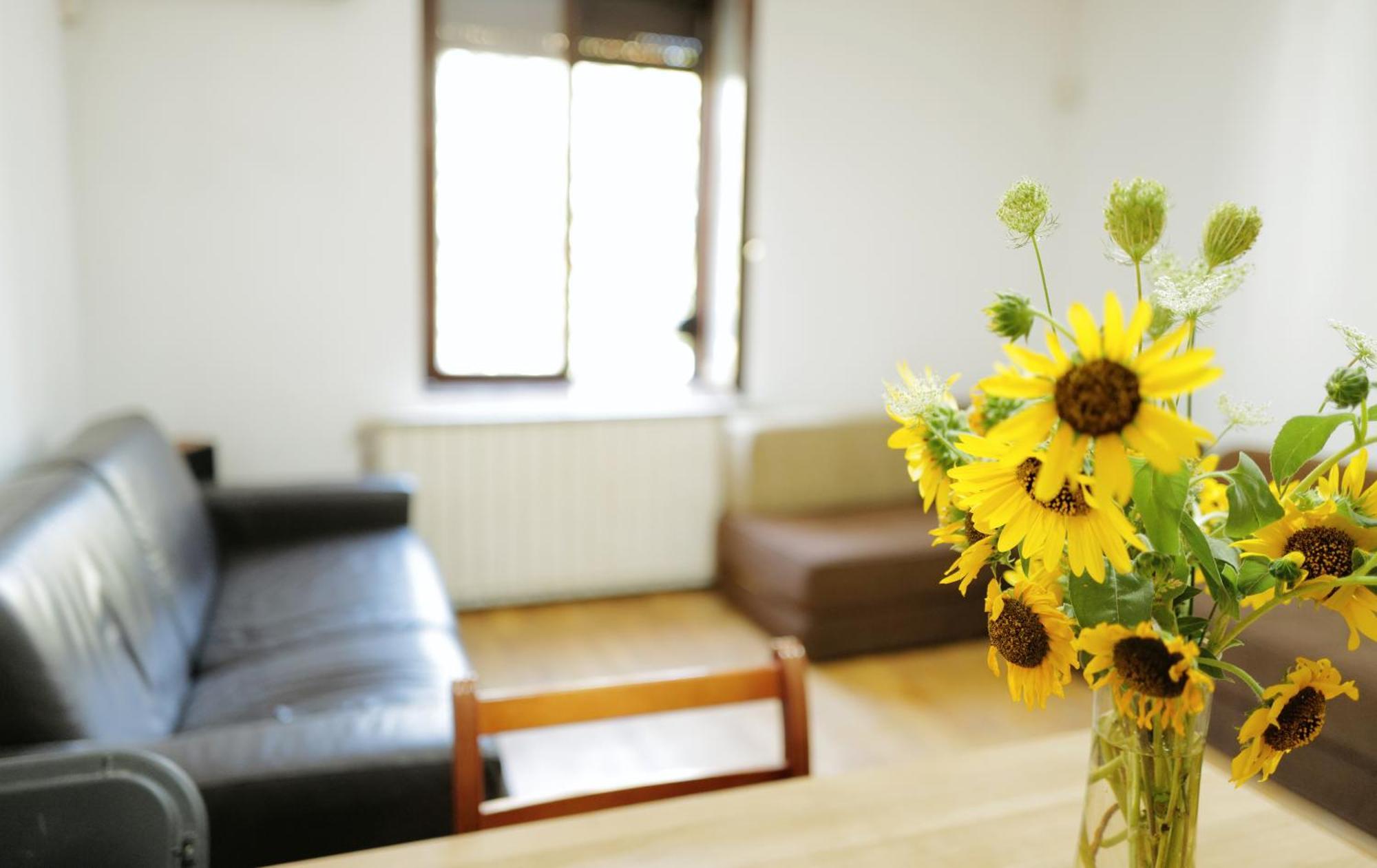 Happy Cat Old Town Hostel ベオグラード エクステリア 写真