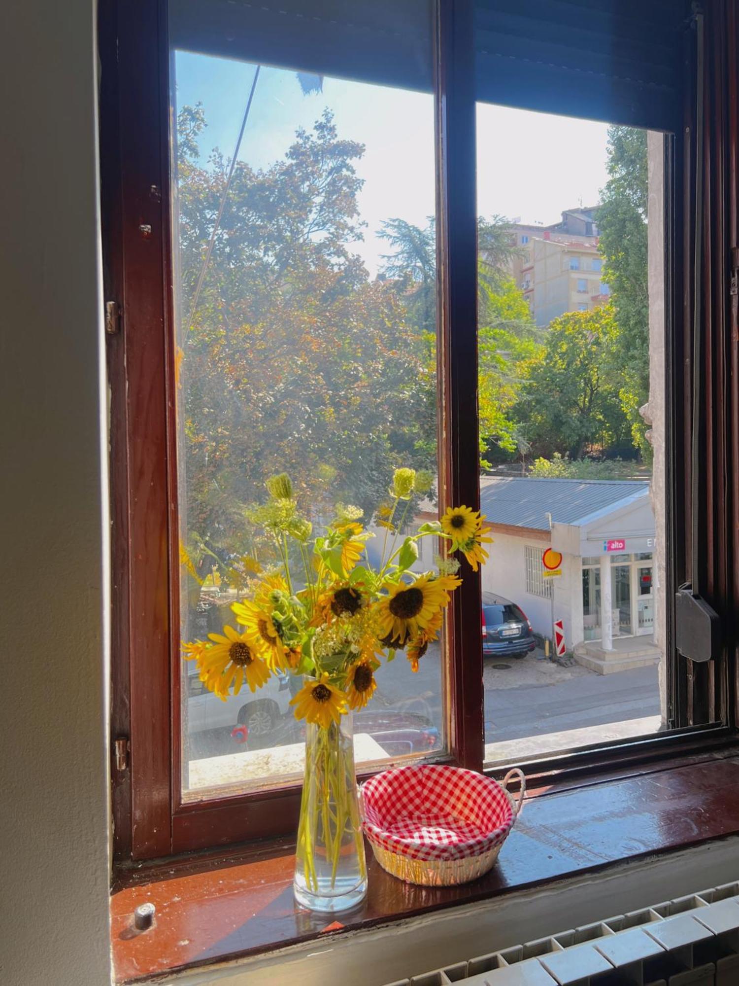 Happy Cat Old Town Hostel ベオグラード エクステリア 写真